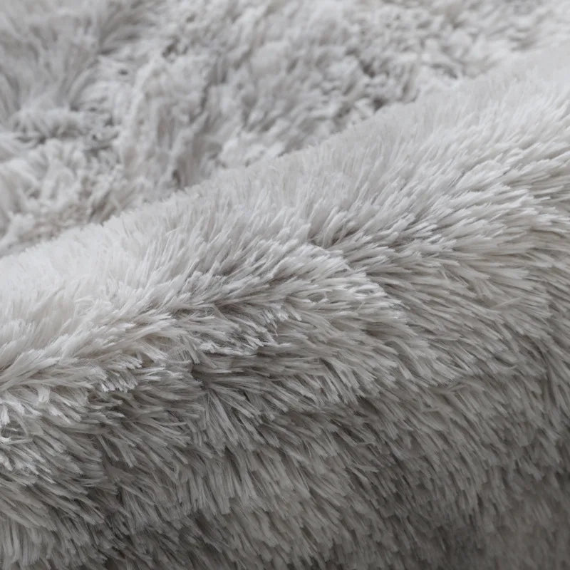 Fluffy Large Carpet Living Room Plush Lounge Rug in The Bedroom Floor Mat Soft Velvet Carpets For Children Kids Decoration 
