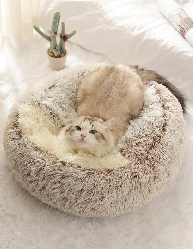Kissansänky Lemmikkipatja Lämmin Pehmeä Pehmo Pet Bed Peite Pyöreä Kissan Koiran Unipesä Luola Pienille Koirille Kissanpentu